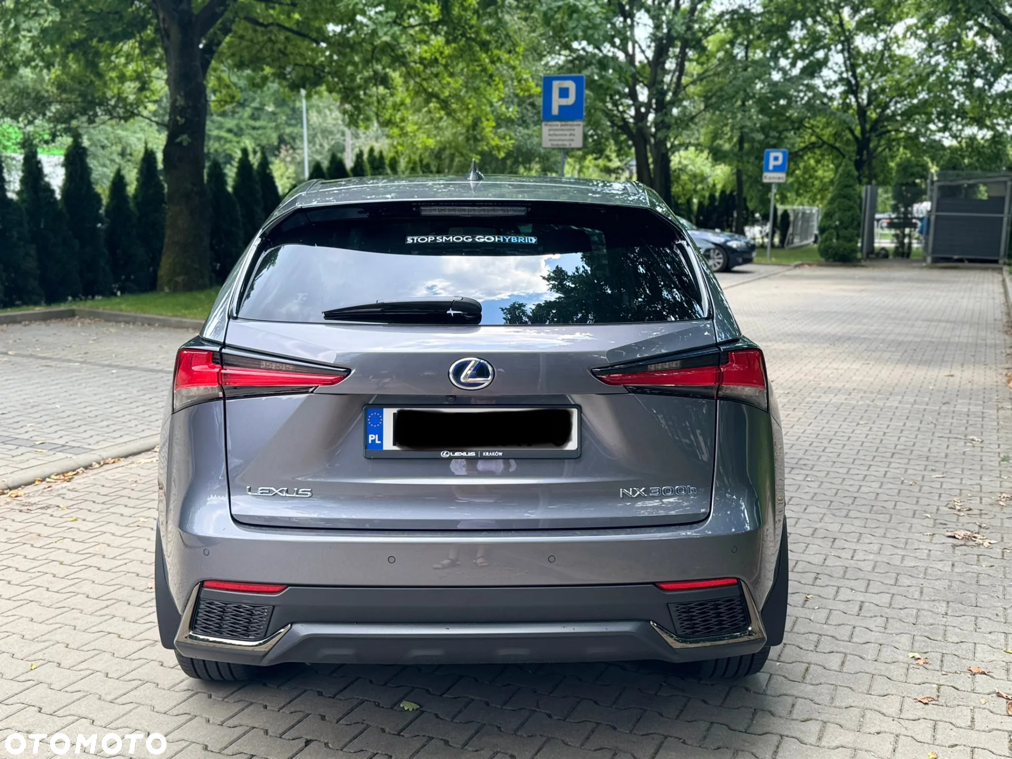 Lexus NX 300h F Sport AWD - 5