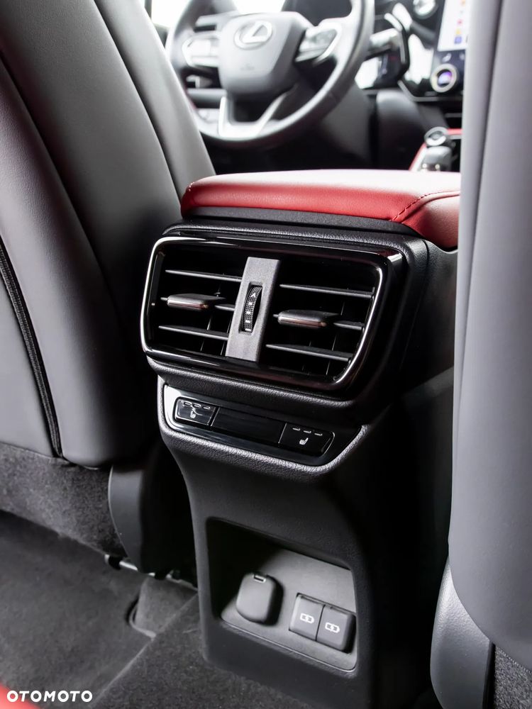 Lexus NX - 33