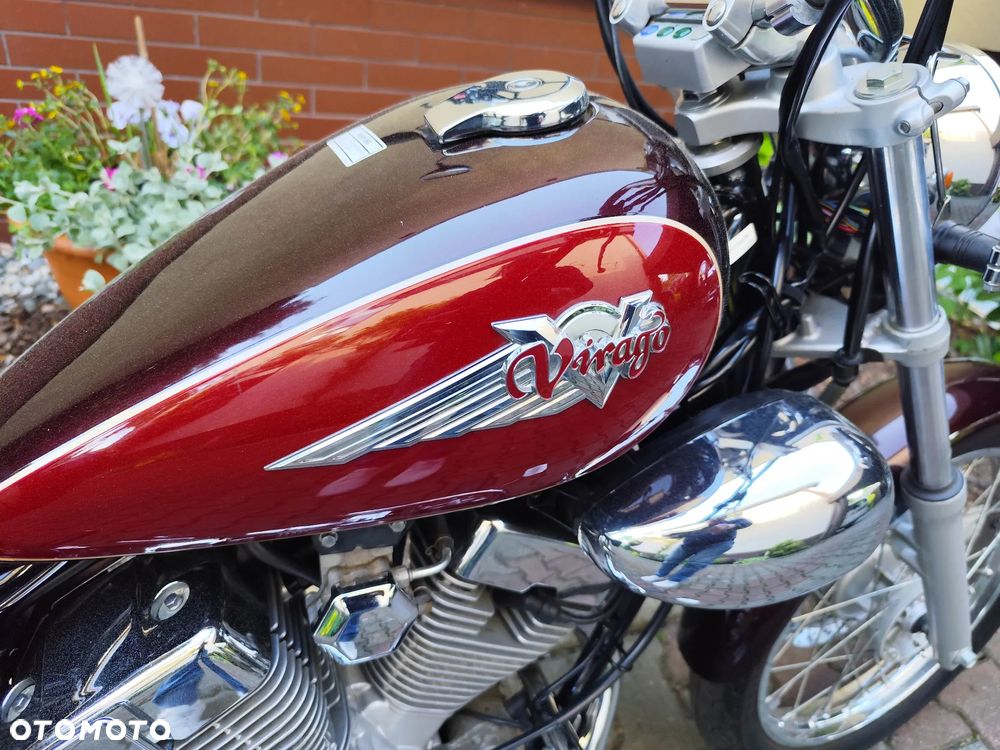 Yamaha Virago - 8