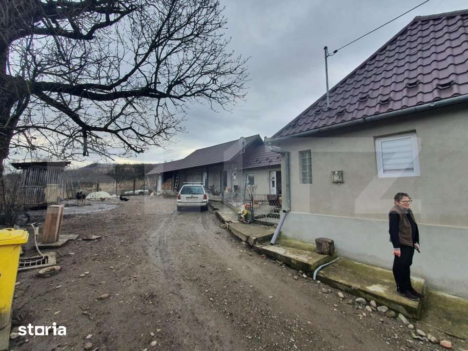 Casa individuala + 7,1 ha de teren dispersat, in Pinticu - Imagine principală: 4/9