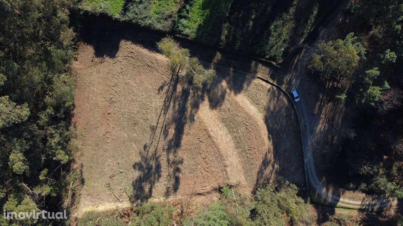 Terreno  Venda em Telões,Amarante - Grande imagem: 4/19