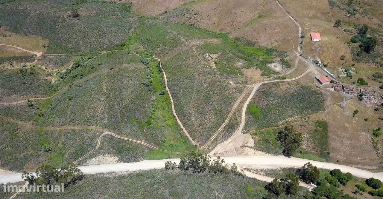 Terreno Rústico com 9,1 Hectares em Santana da Serra - Óptimo para pro - Grande imagem: 3/6