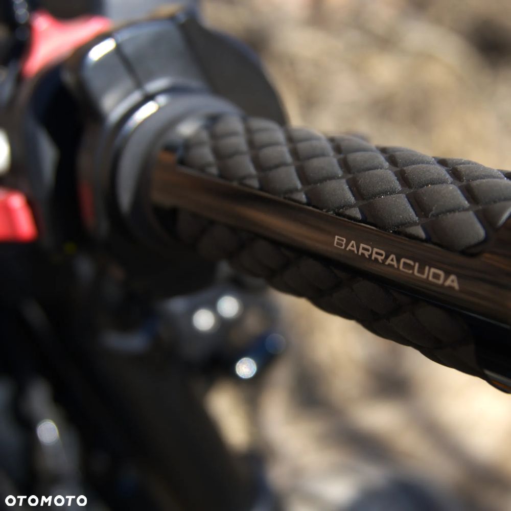 Ducati Scrambler - 13