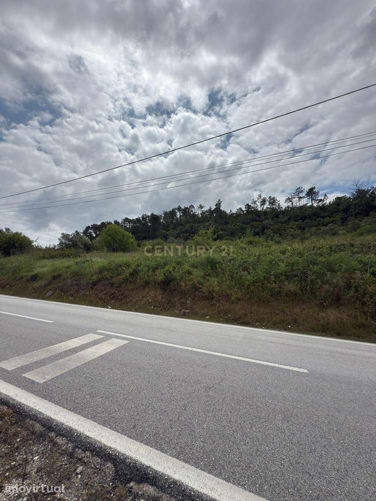Terreno Urbano à venda em Alcobaça – Oportunidade única! - Grande imagem: 3/12