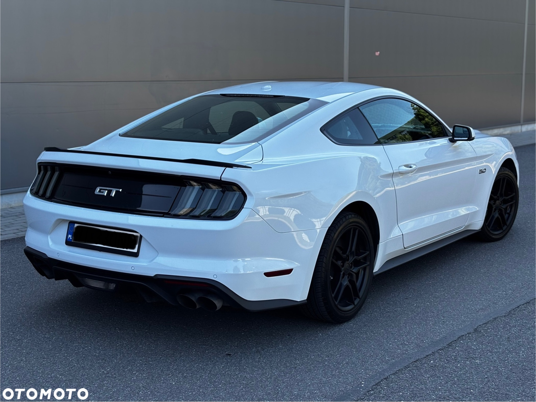 Ford Mustang Fastback 5.0 Ti-VCT V8 MACH1 - 2