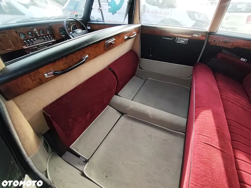 Jaguar Inny - 12