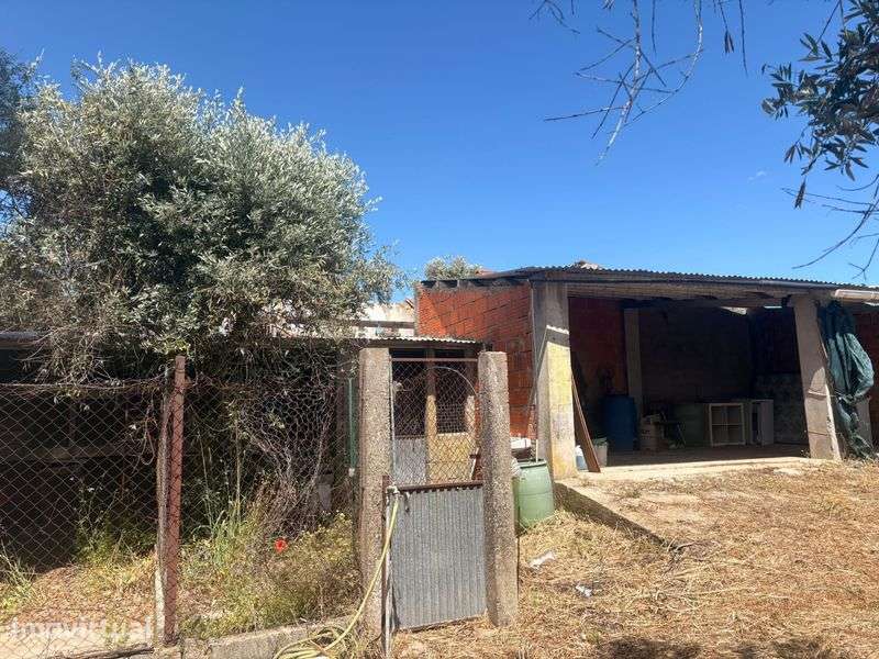 Vende-se Terreno Urbano em Chança – Alter do Chão (Portalegre) - Grande imagem: 3/8