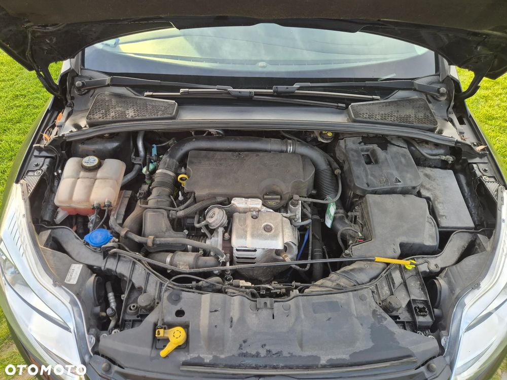 Ford Focus - 17