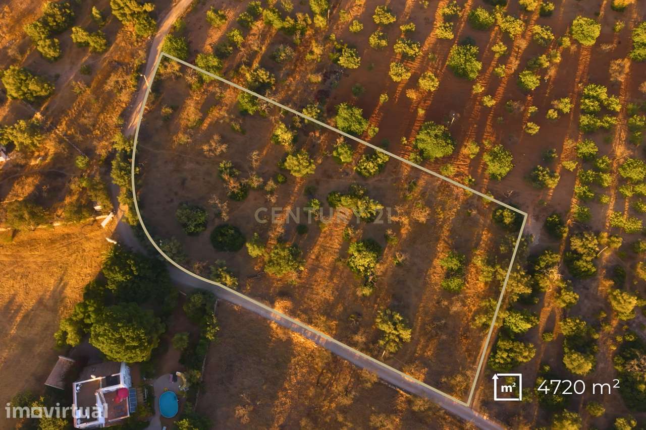 ✅ Terreno Rústico com 4.720 m² – Acessos Excelentes e Potencial Extrao - Grande imagem: 4/8