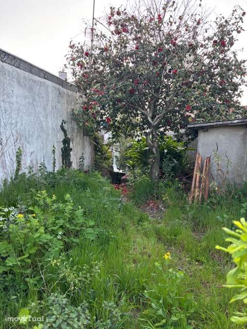 Casa para reabilitar – Porto, Costa Cabral - Excelente oportunidade - Grande imagem: 4/12