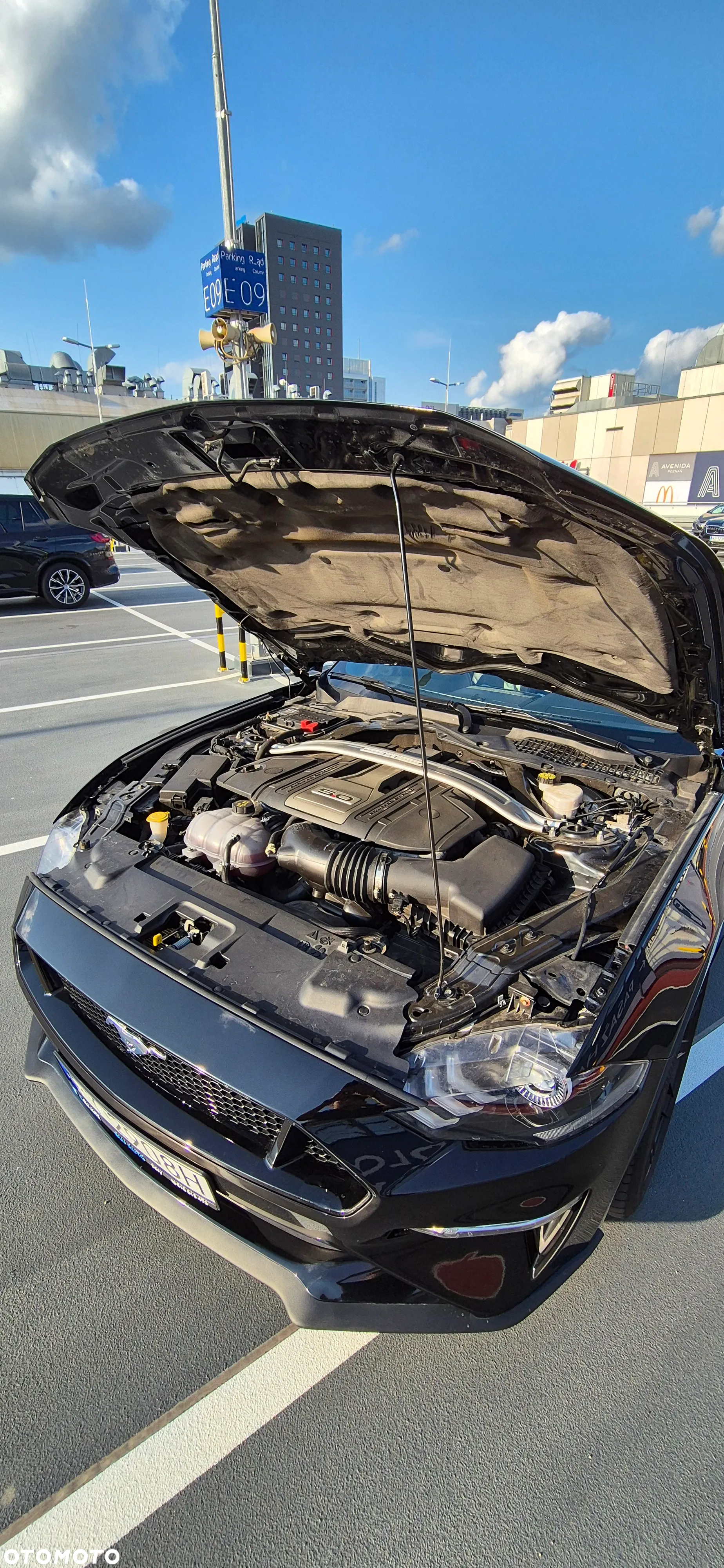 Ford Mustang Fastback 5.0 Ti-VCT V8 MACH1 - 10