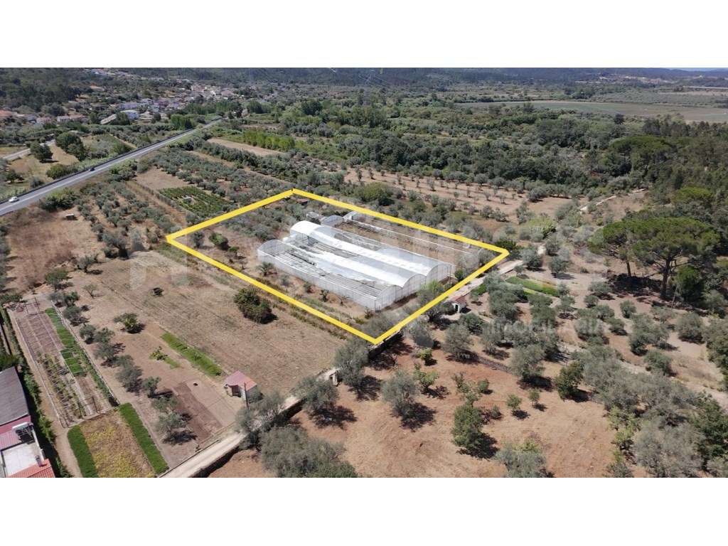 Terreno Agrícola com Estufas Preparadas para Produção em Hidroponia... - Grande imagem: 3/39