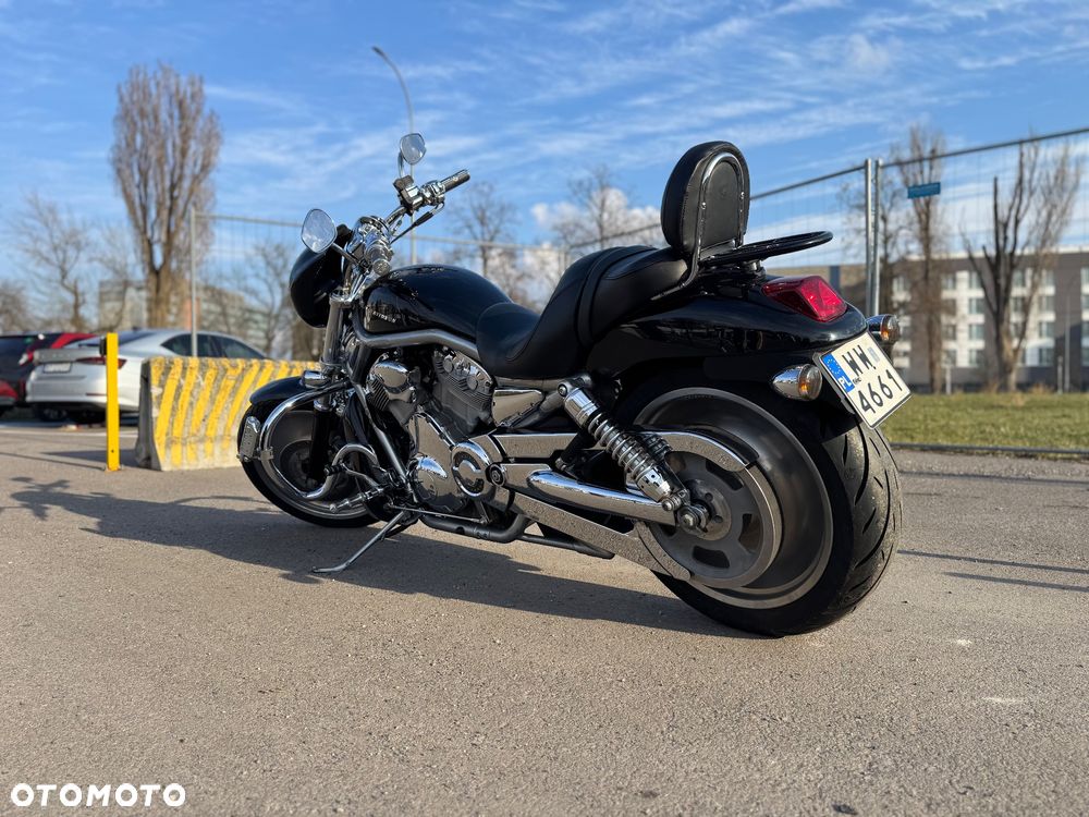 Harley-Davidson Softail V-Rod - 2