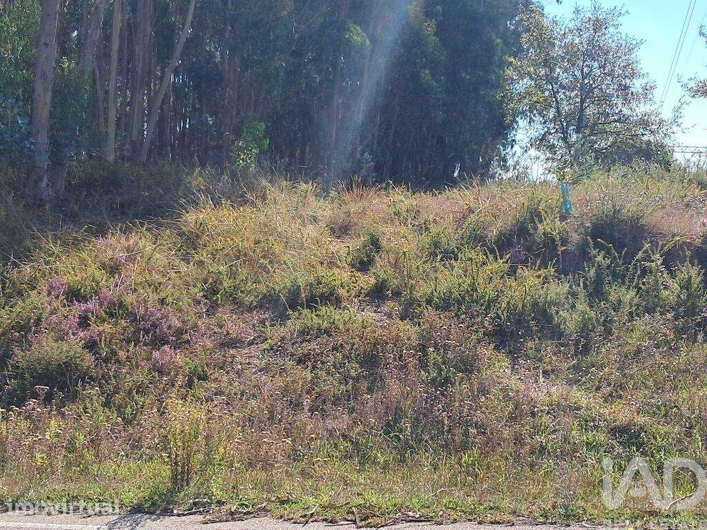 Terreno para construção em Souto da Carpalhosa e Ortigosa de 2154,00 m - Grande imagem: 2/18