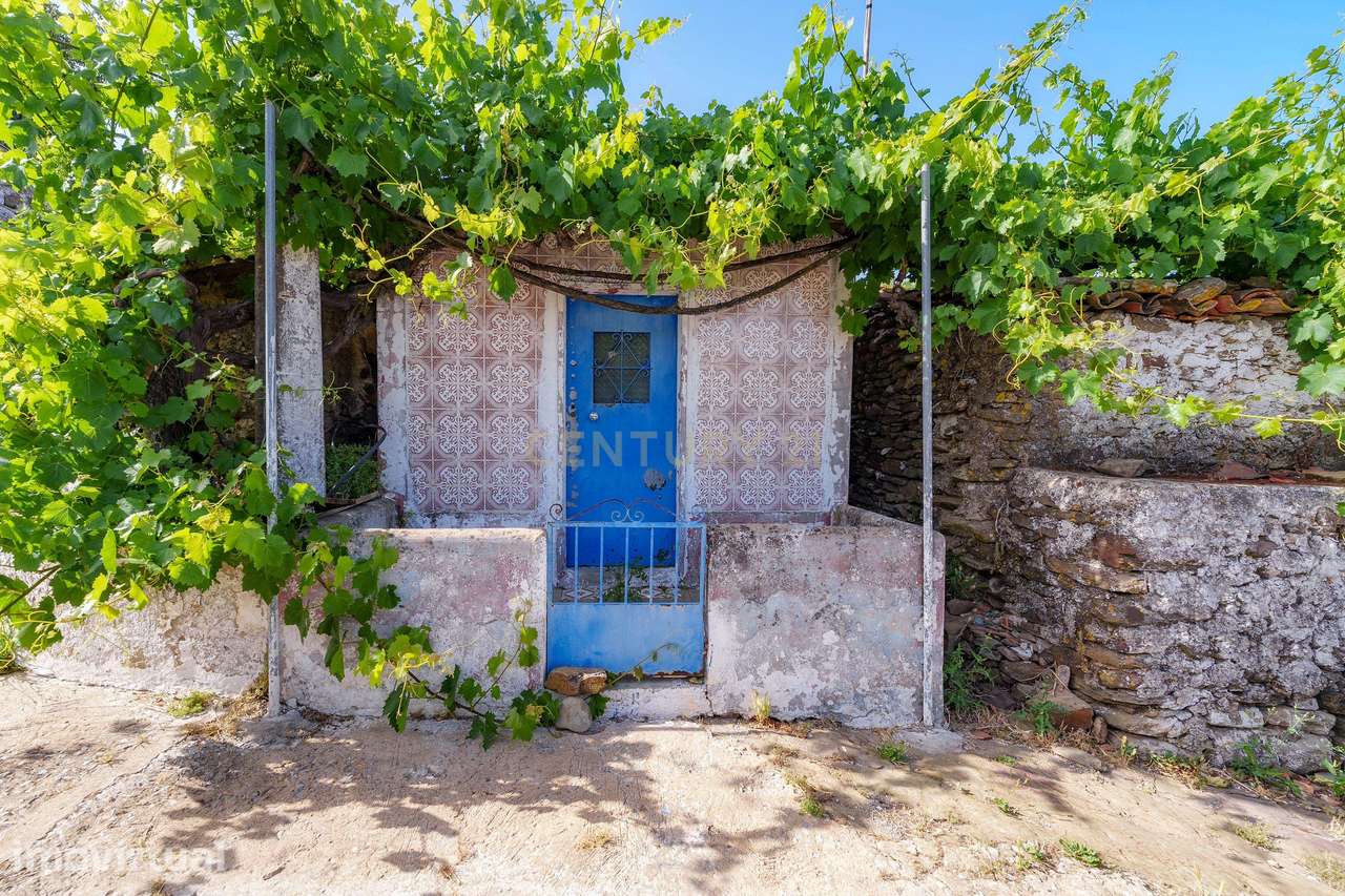 A Casa da Serra | São Brás de Alportel, Cerro da Ursa | 3,81ha de Terr - Grande imagem: 4/22