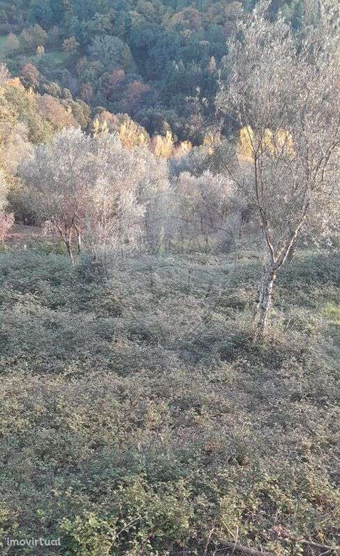 Terreno  para venda - Grande imagem: 5/18