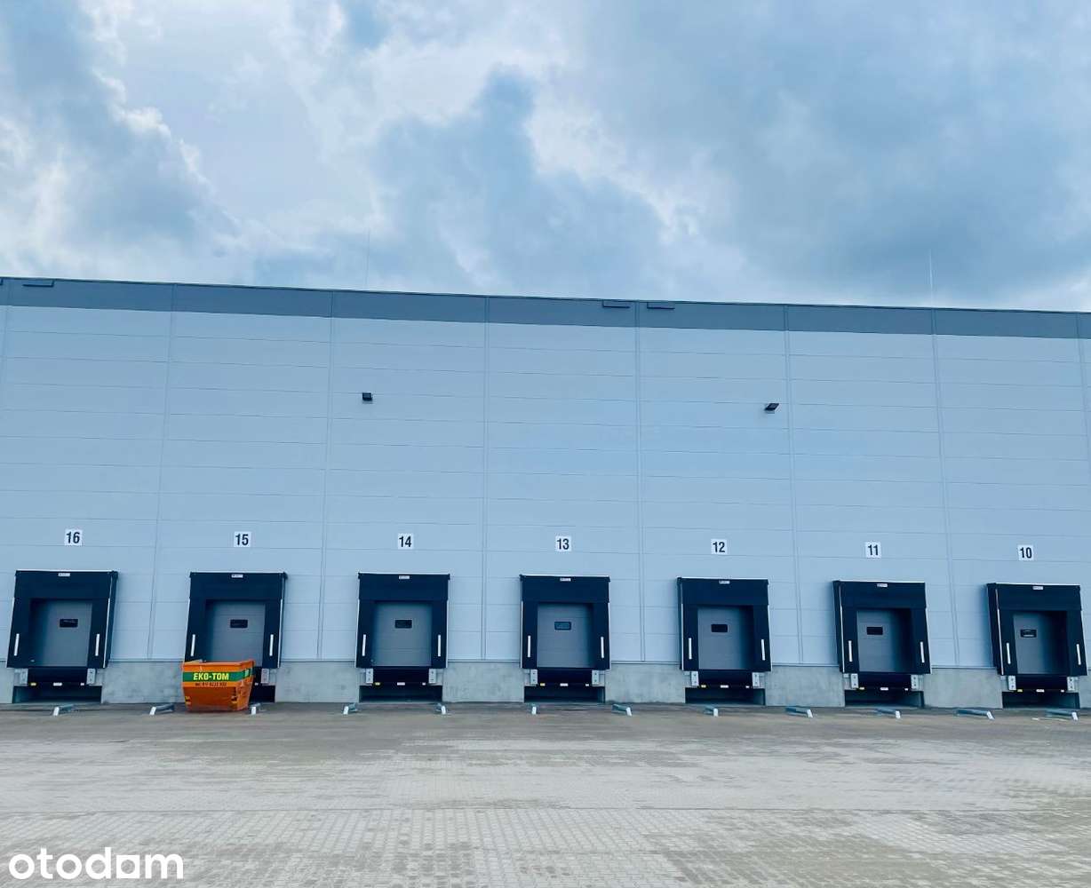 Nowoczesny magazyn Poznań 6500 m2 |Bez prowizji - Pełny obrazek: 2/4