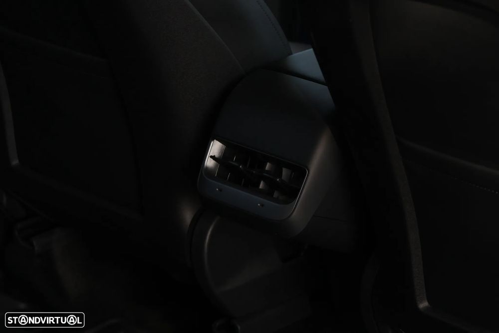 Tesla Model Y Performance Dual Motor AWD - 24