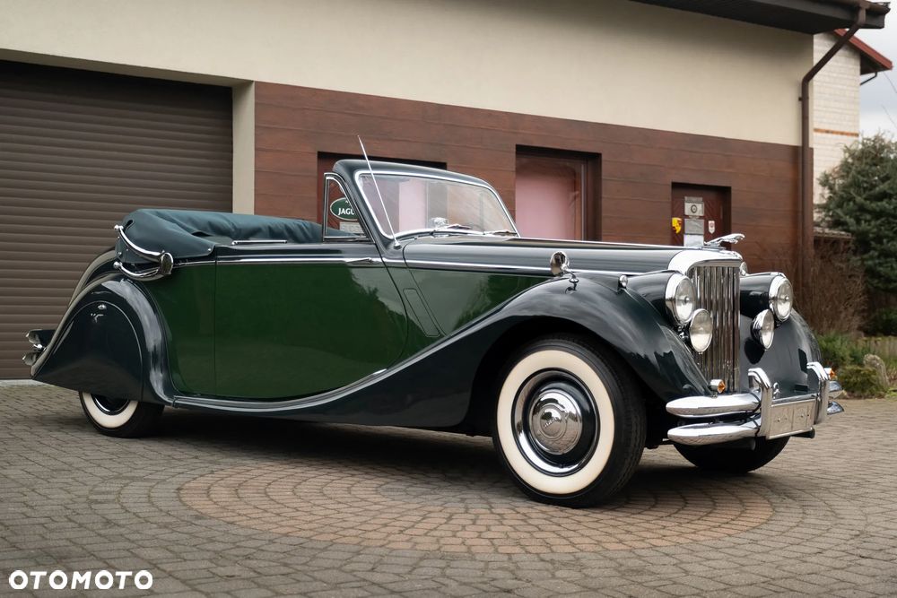 Jaguar Inny - 3