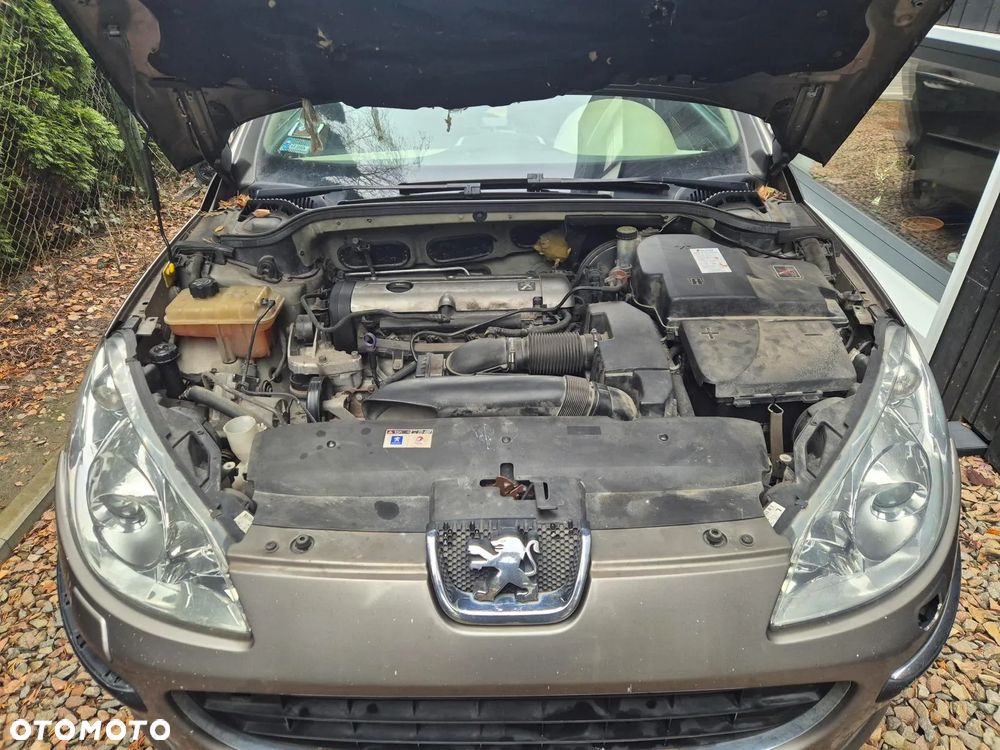 Peugeot 407 2.0 SV Executive - 15