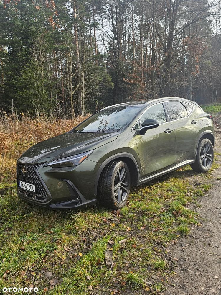 Lexus NX 450h+ Overtrail AWD - 8