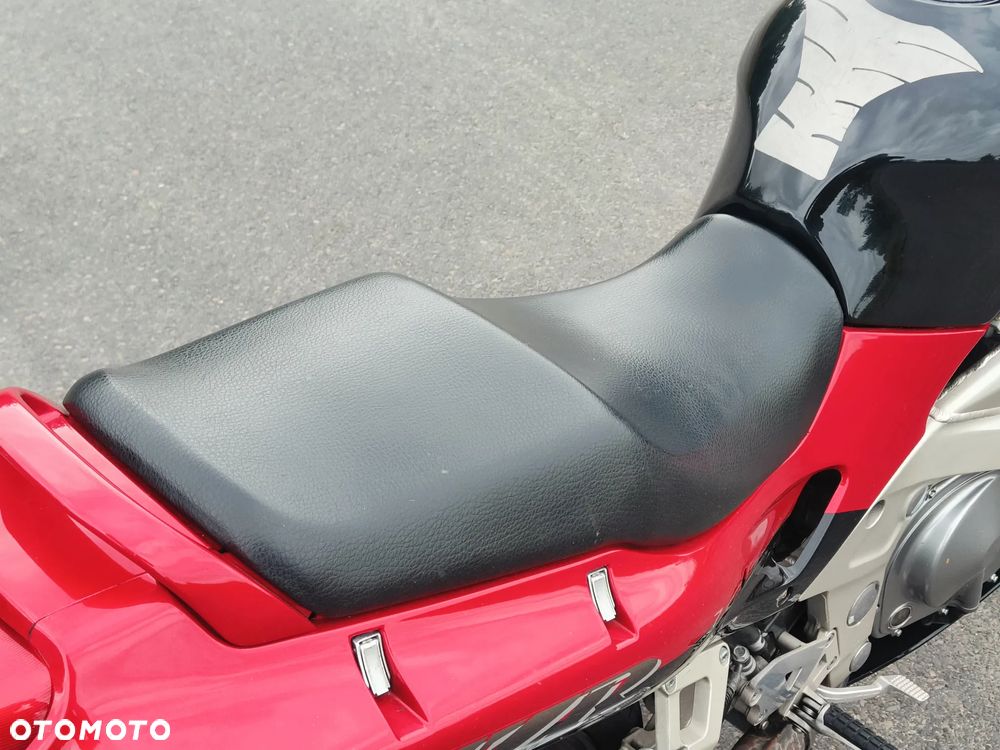 Kawasaki ZZR - 19