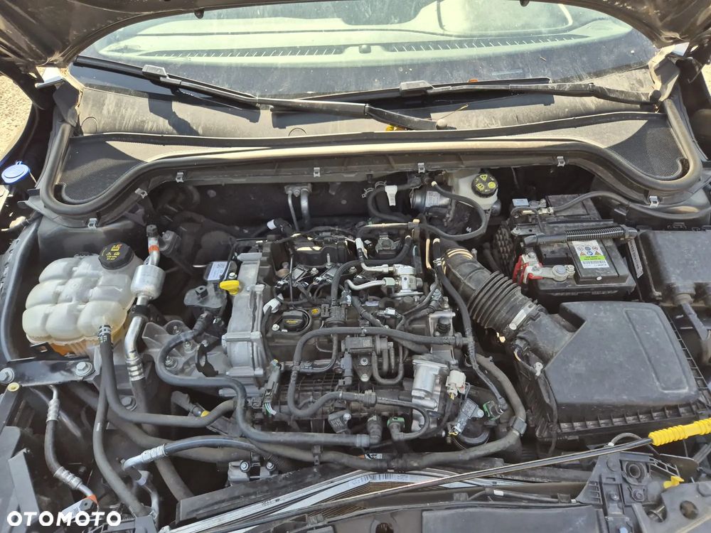 Ford Focus 1.0 EcoBoost Hybrid ST-LINE X - 5