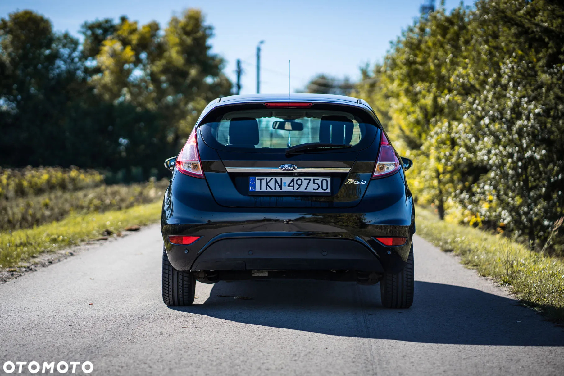 Ford Fiesta 1.6 TDCI Titanium - 9