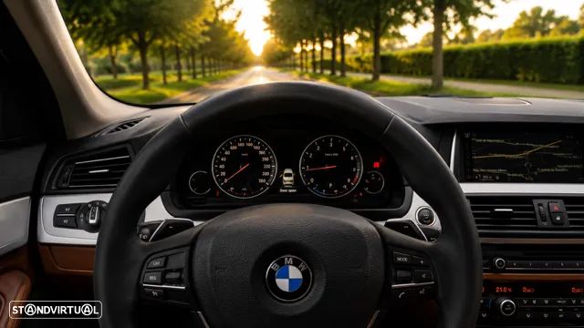 BMW 525 d Auto - 16
