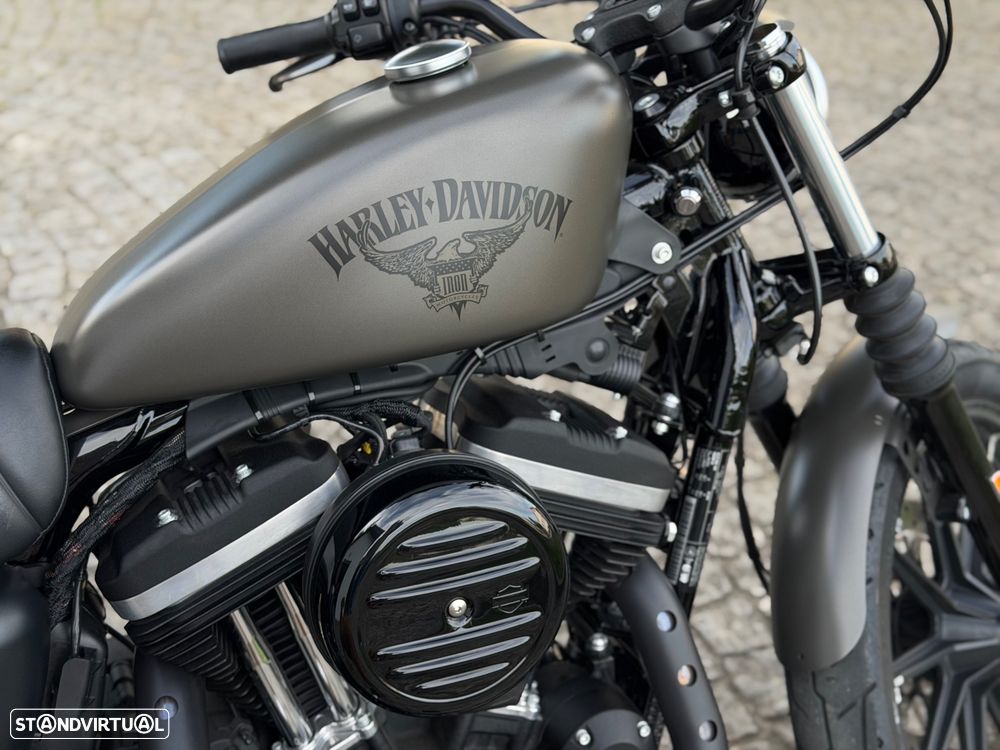 Harley-Davidson 883 Iron - 2