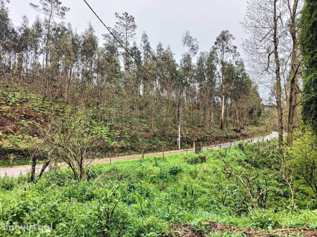 Terreno - Rota dos Moinhos - Angeja - Grande imagem: 2/13