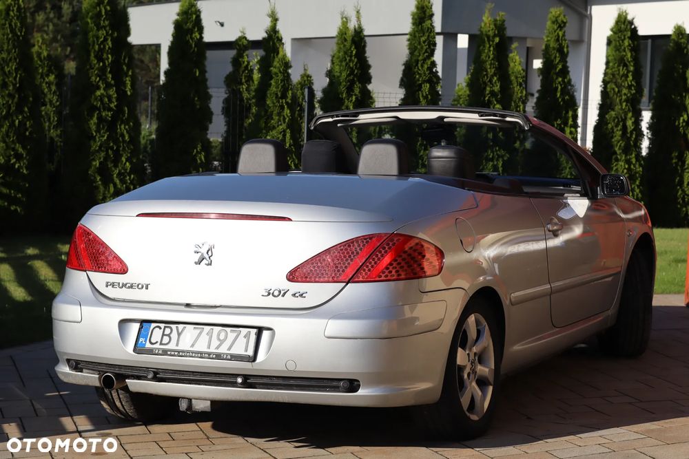 Peugeot 307 2.0 XS - 14