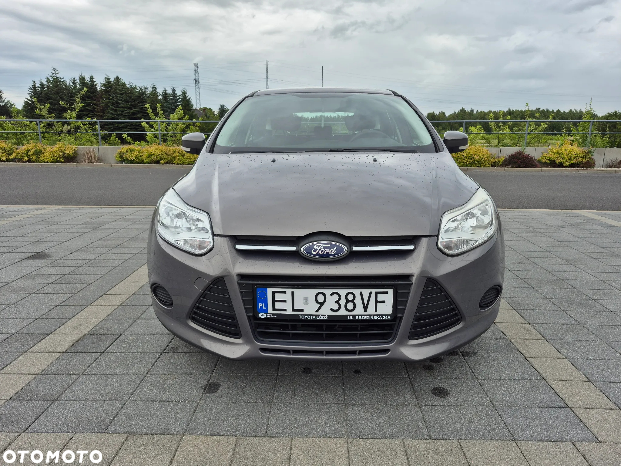 Ford Focus 1.6 Gold X (Trend) - 2