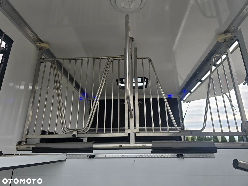 Opel Movano-Koniowóz - 17