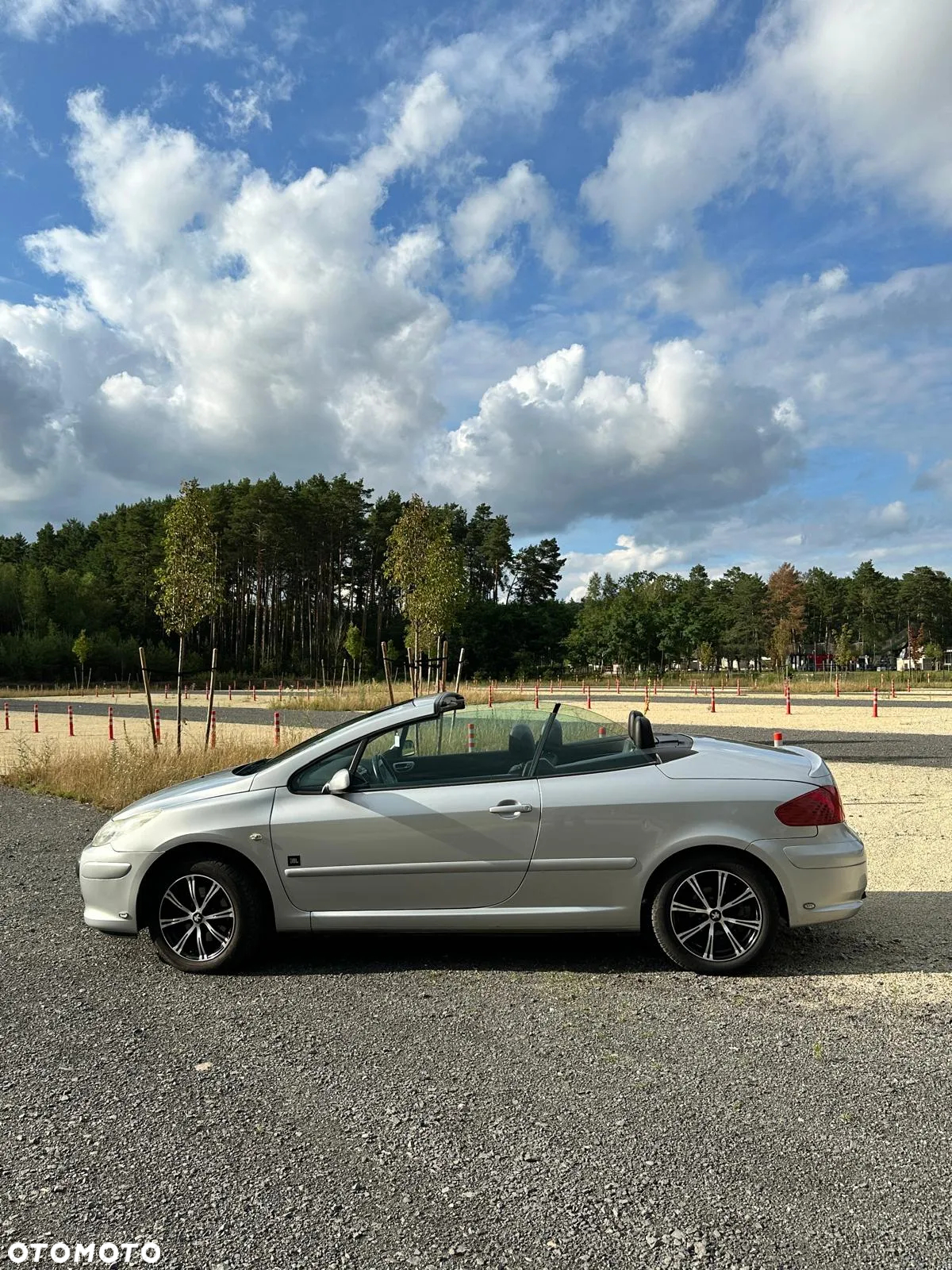 Peugeot 307 CC - 9
