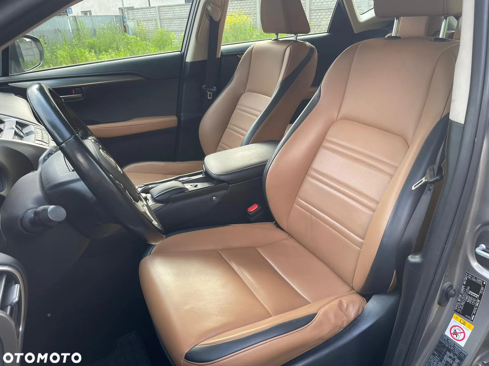 Lexus NX 300h Elite AWD - 8