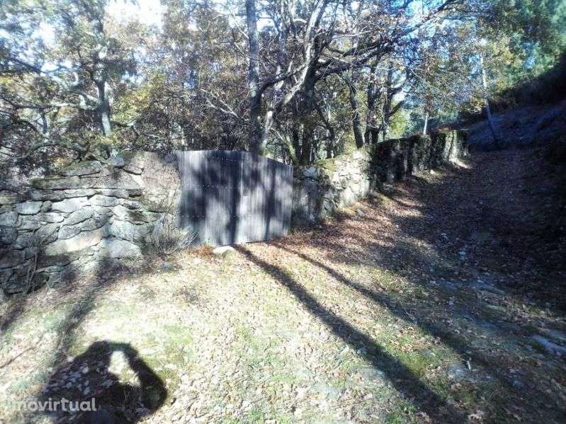 Terrenos em Adrão - Soajo - Grande imagem: 2/8