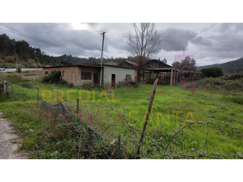 Terreno com barracão - Miranda do Corvo - Grande imagem: 3/7