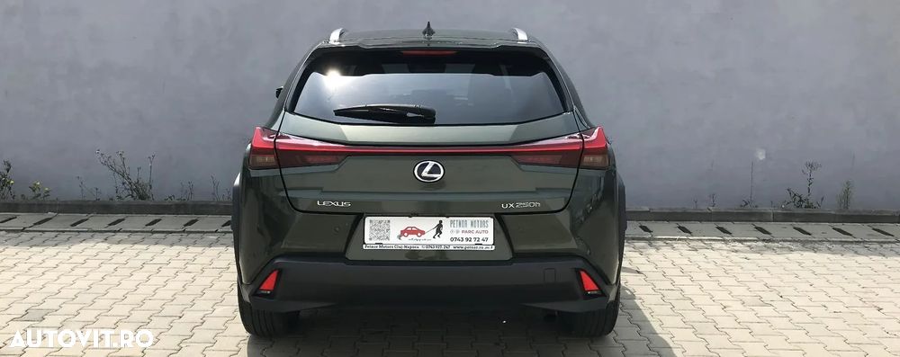 Lexus UX 250h E-FOUR Luxury ML - 12