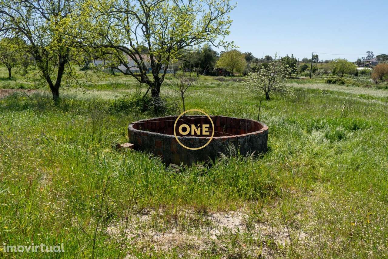 Terreno Urbano Ponte de Sor - Grande imagem: 5/20