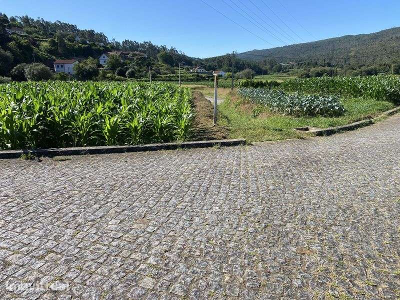 Terreno Rústico em Orbacém, Caminha, Viana do Castelo - Grande imagem: 5/6