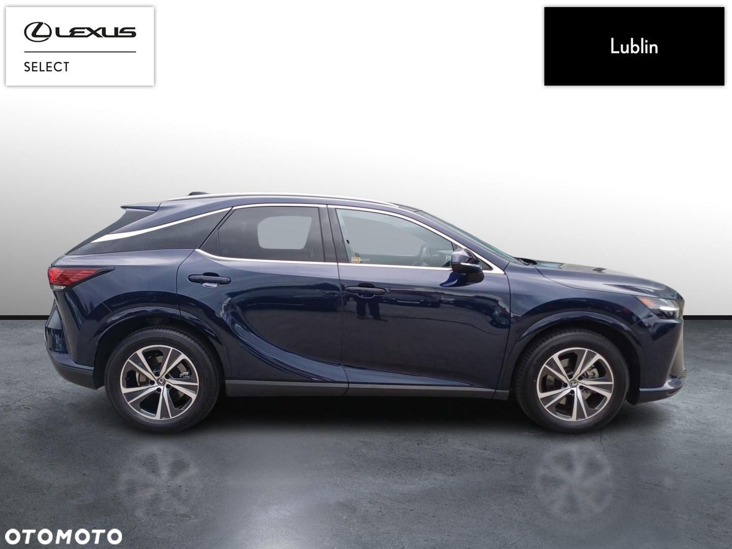 Lexus RX - 6