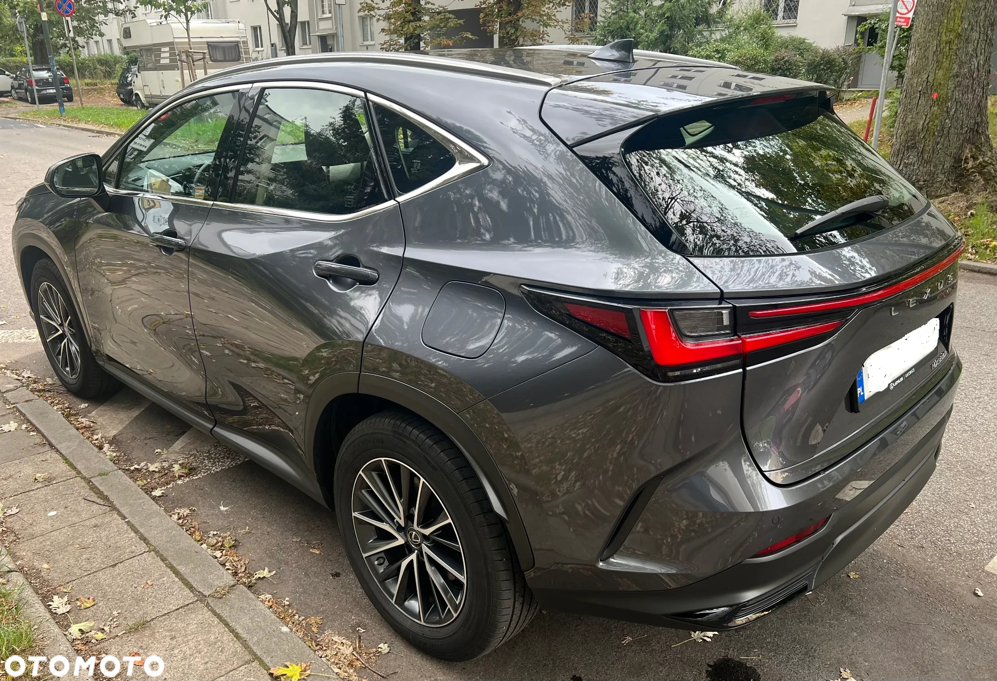 Lexus NX 350h Business AWD - 5
