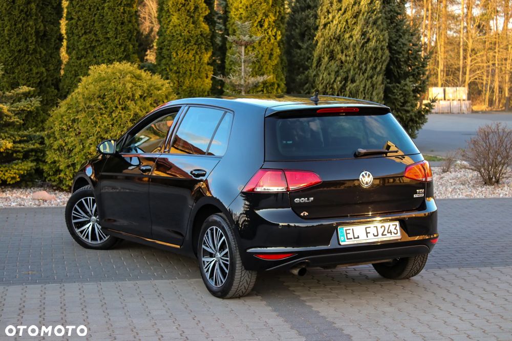 Volkswagen Golf 1.6 TDI BlueMotion Technology Allstar - 15