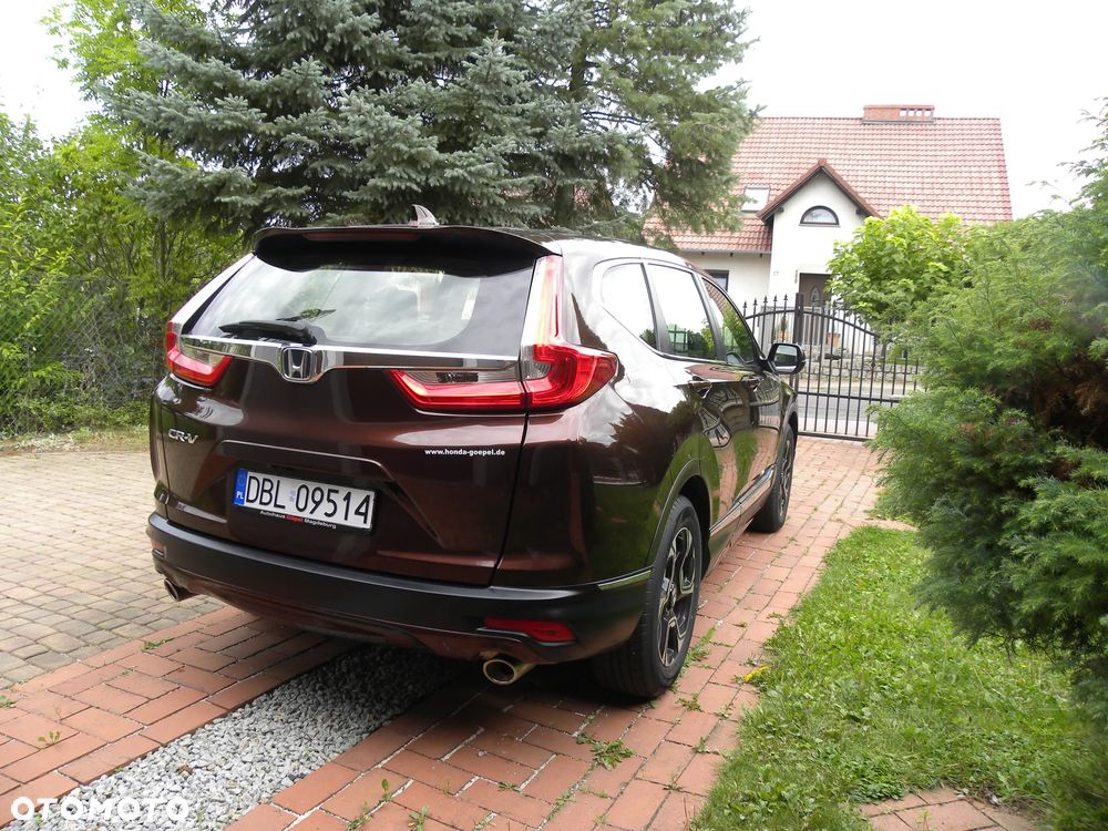 Honda Cr-V 2019 photo 4