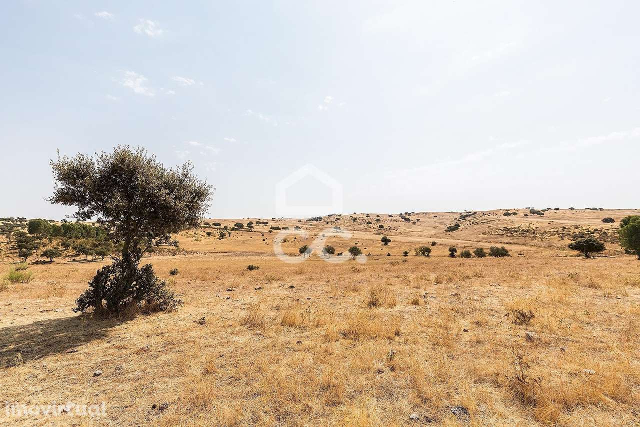 Terreno Rústico de 2,725 ha c/ Pequena Nascente para Exploração Agríco - Grande imagem: 3/16