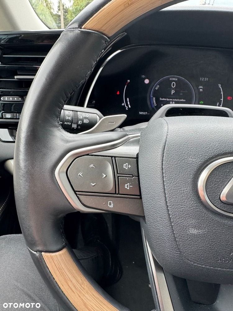 Lexus RX - 14