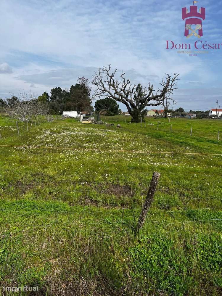 Terreno 1480 m2 - Glória do Ribatejo - Salvaterra de Magos - Grande imagem: 4/4