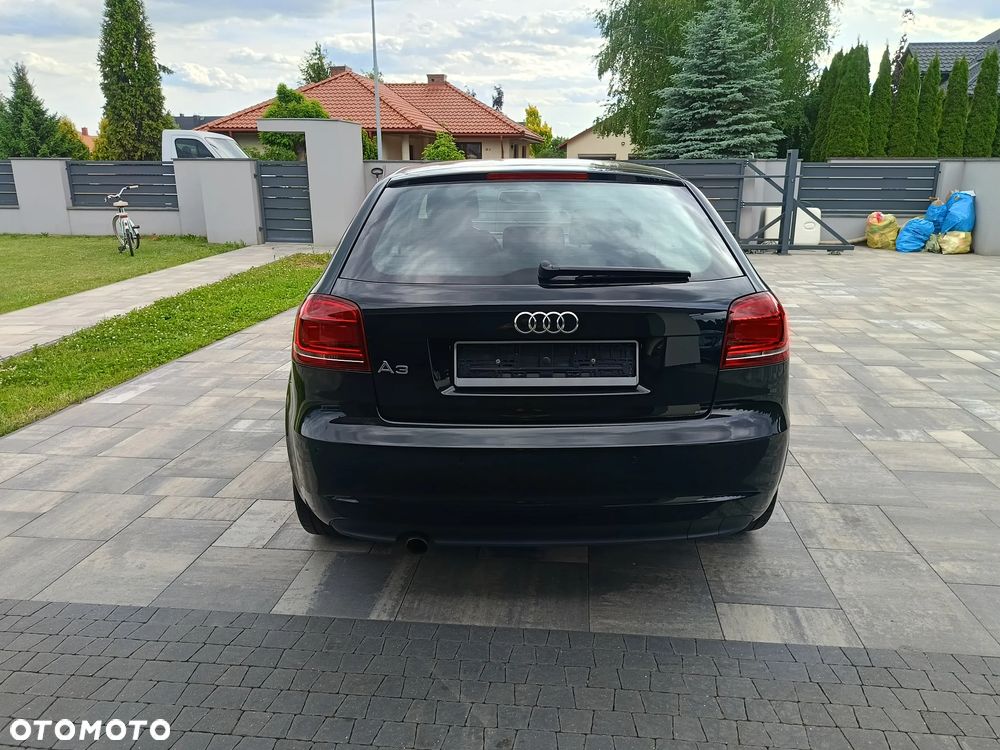 Audi A3 3-drzwiowe 1.6 Limited Edition - 16