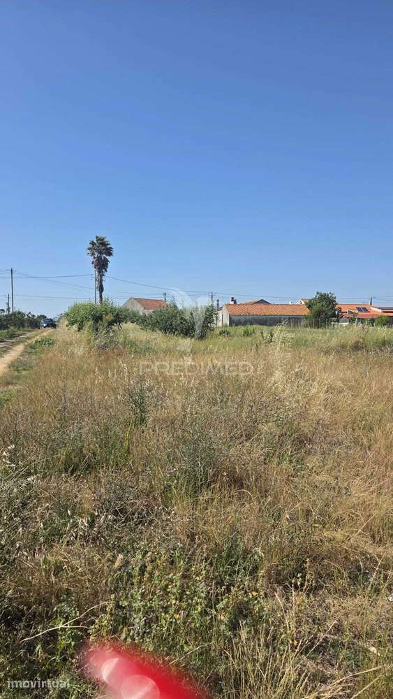 Terreno em Aljubarrota para comprar - Grande imagem: 4/6